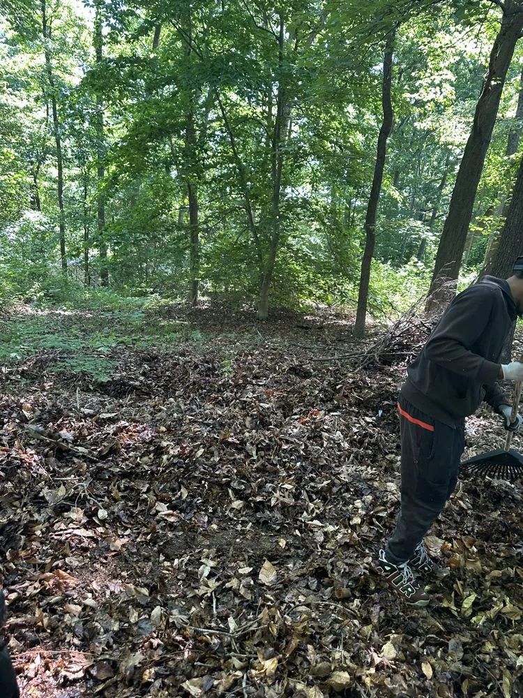 Affordable landscaping services for outdoor upgrades in Fort Washington, MD by Fam Jones