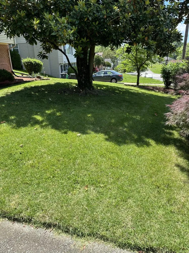 Professional yard cleanup service for residential properties in Fort Washington, MD by Fam Jones