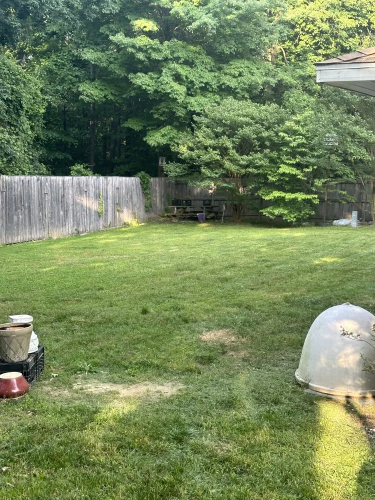 Local landscaping services in Fort Washington, MD by Fam Jones