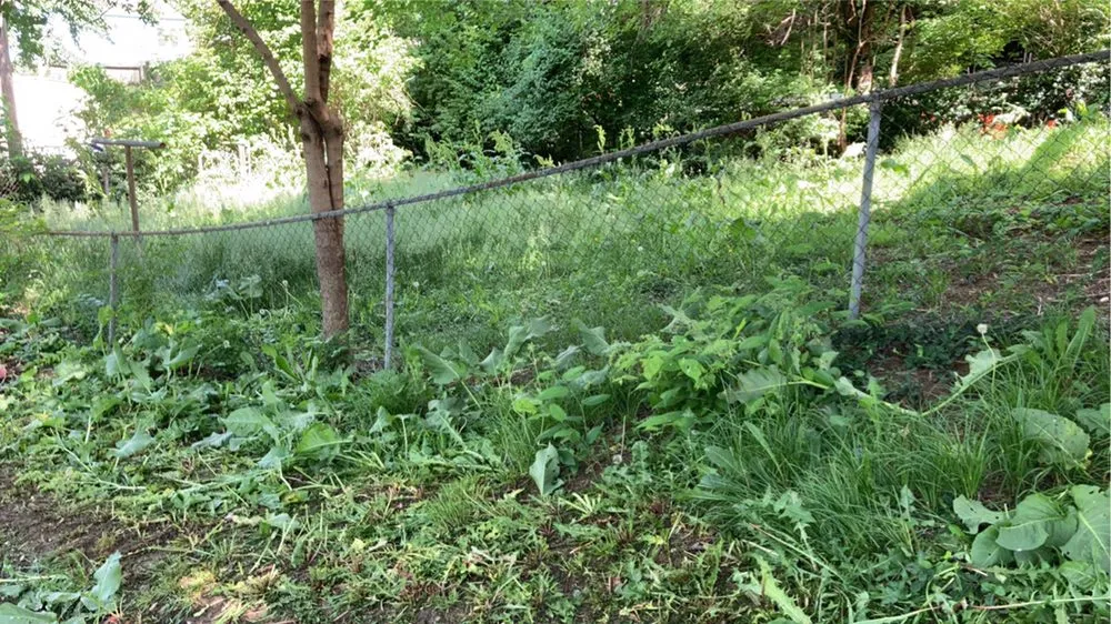 Reliable garden landscaping for homes across Grandview, MO - Fam Lawns