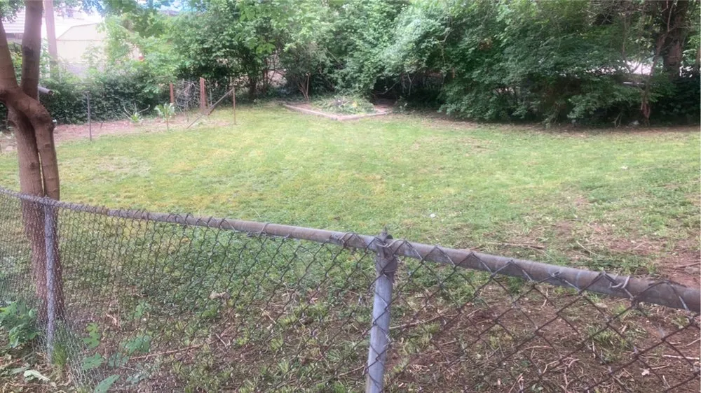 Local yard cleanup service experts serving Grandview, MO - Fam Lawns