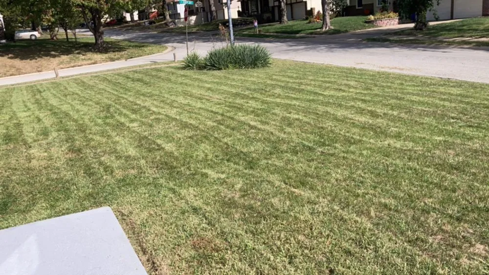 Reliable lawn care service experts serving Grandview, MO - Fam Lawns