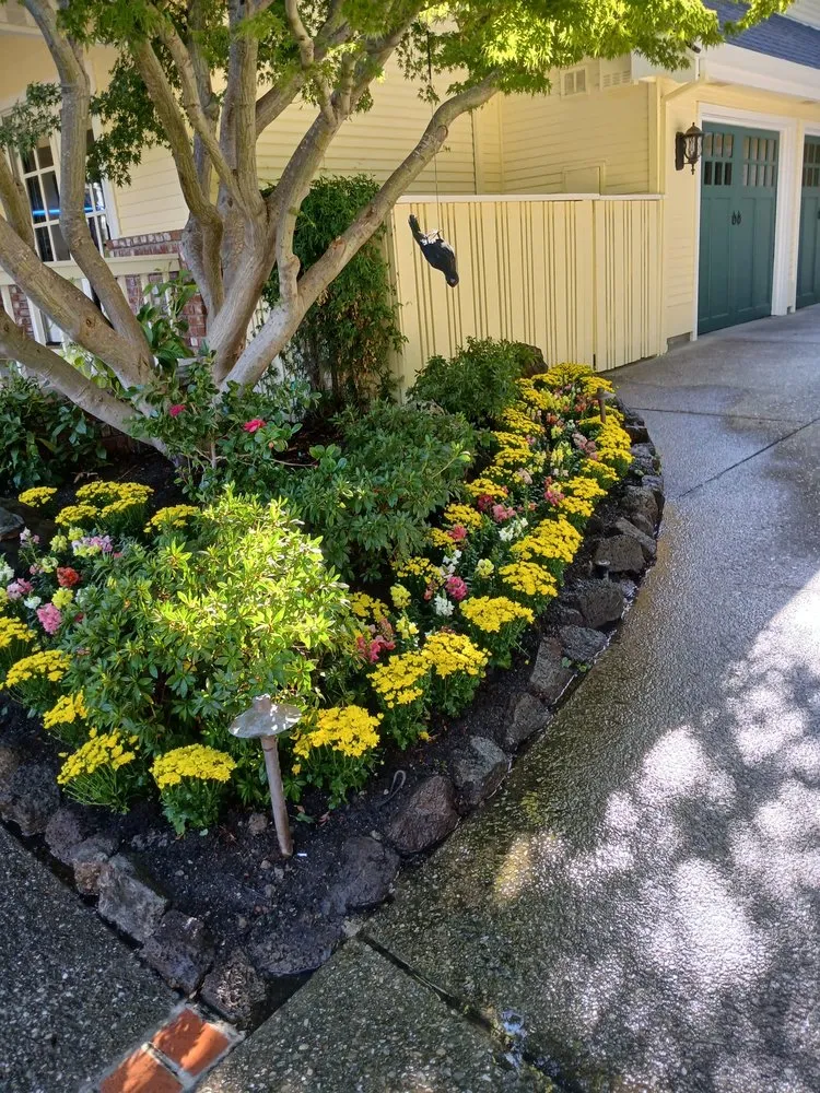 Professional landscaping services experts serving Concord, CA - Familia Landscaping
