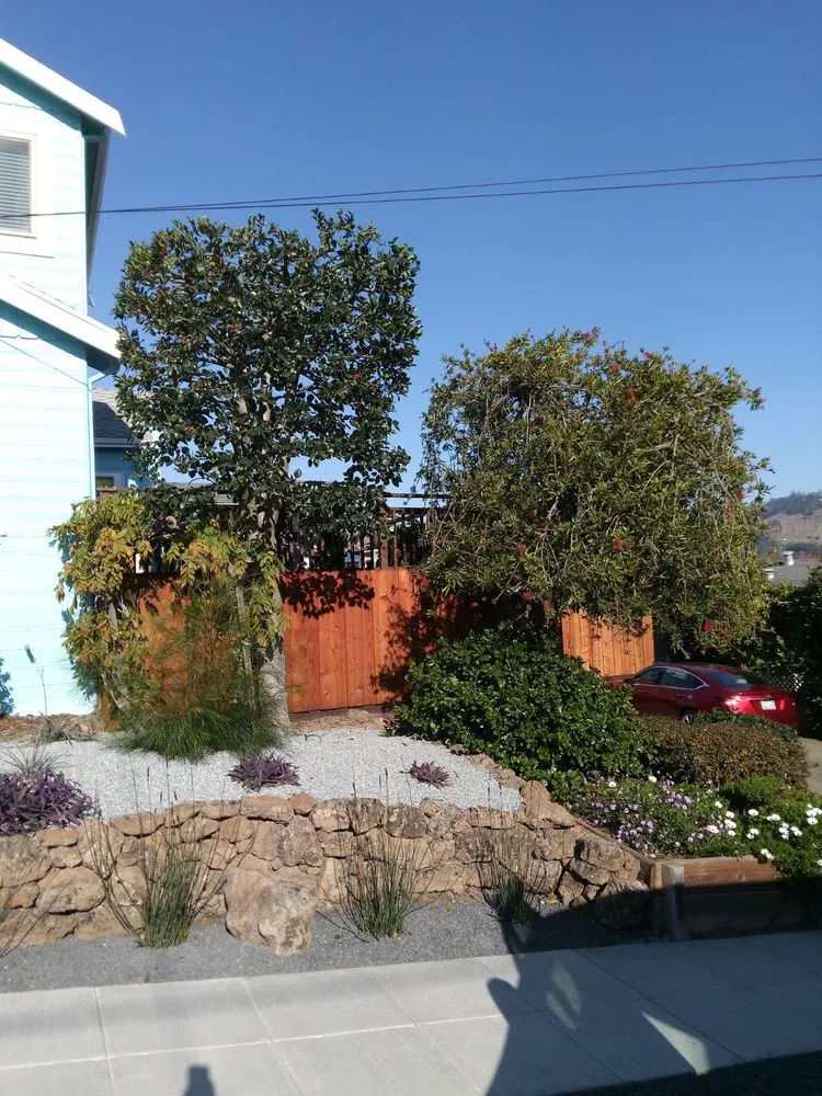 Trusted landscape installation for residential properties across Concord, CA - Familia Landscaping