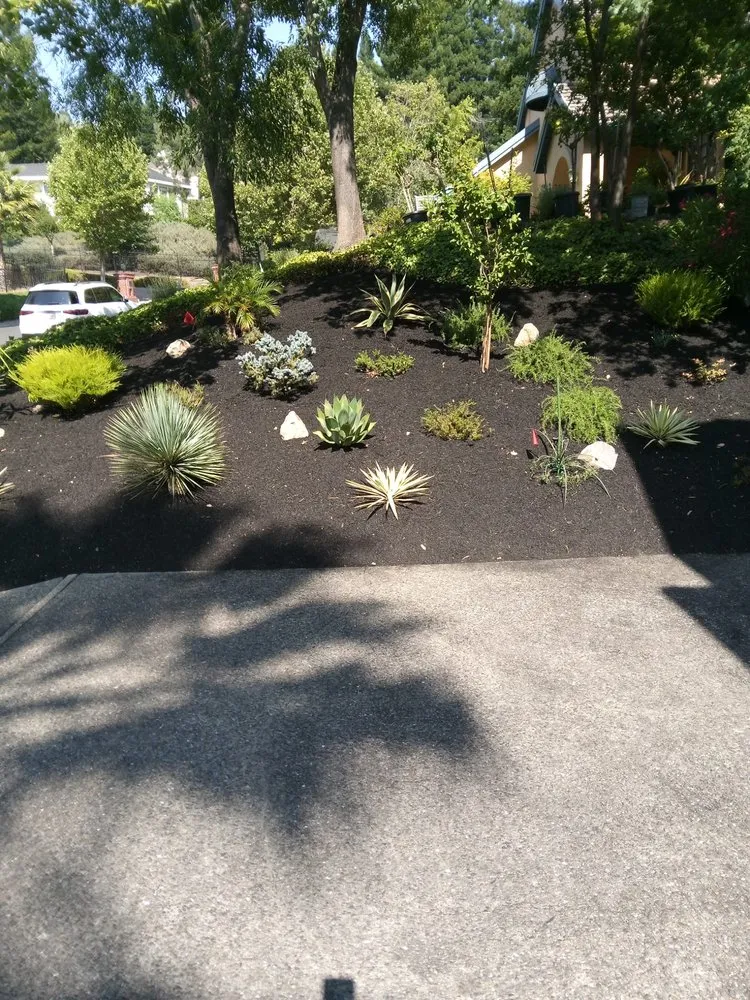 Reliable outdoor landscaping in Concord, CA - Familia Landscaping