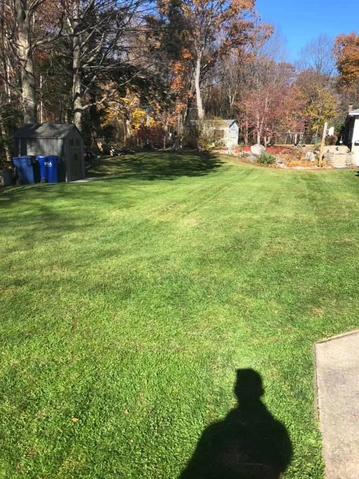 Custom yard cleanup service near you in Agawam, MA by Family & Friends Landscaping