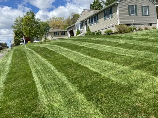 Family & Friends Landscaping