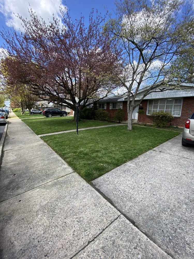 Professional landscape design experts serving Allentown, PA - Family Affairs