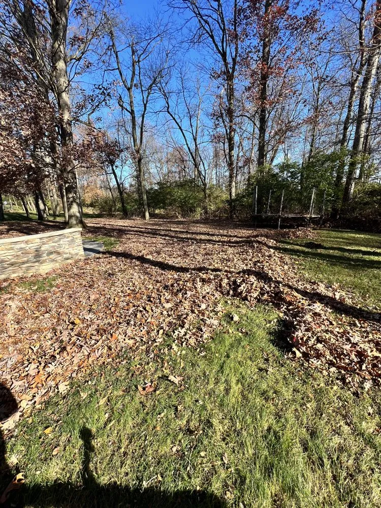 Trusted yard cleanup service near you across Allentown, PA - Family Affairs