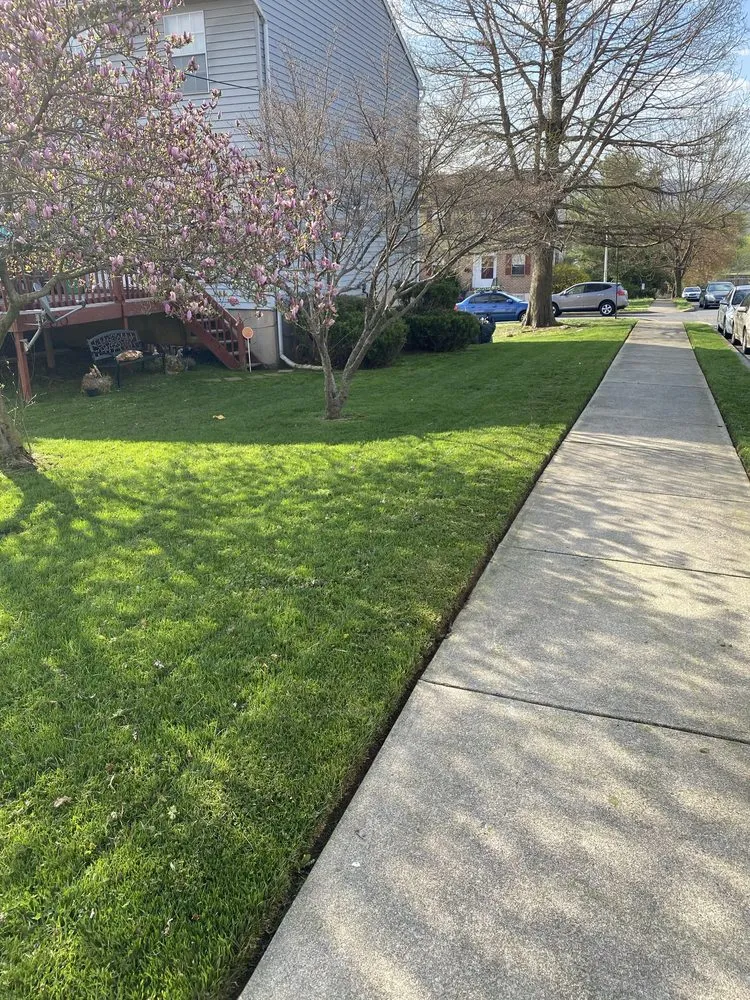 Custom residential landscaping for outdoor upgrades across Allentown, PA - Family Affairs