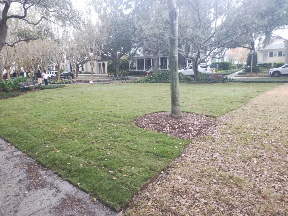 Affordable landscape design in Lake Wales, FL - Family Caporum Sod