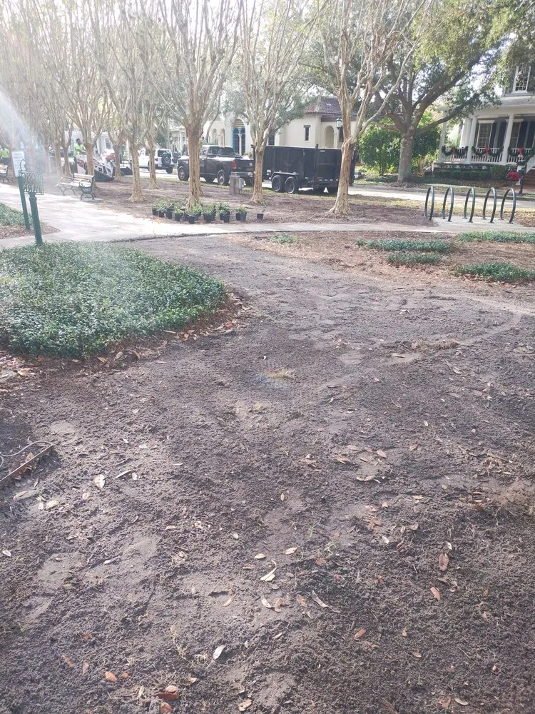 Trusted yard maintenance for outdoor upgrades in Lake Wales, FL by Family Caporum Sod