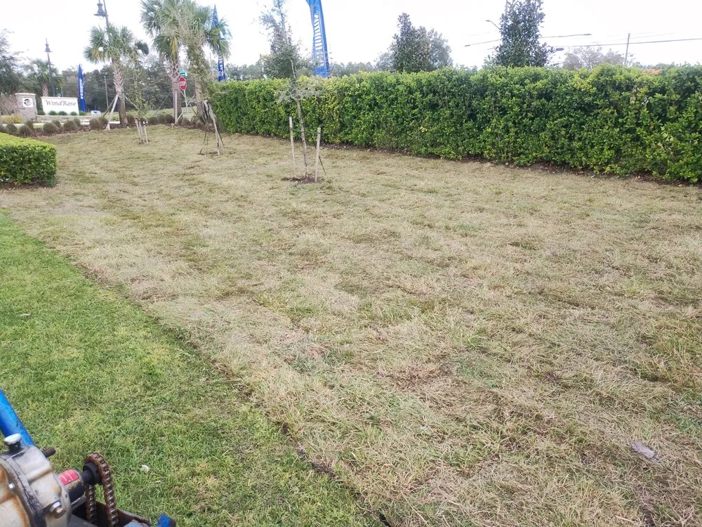 Trusted residential landscaping in Lake Wales, FL by Family Caporum Sod