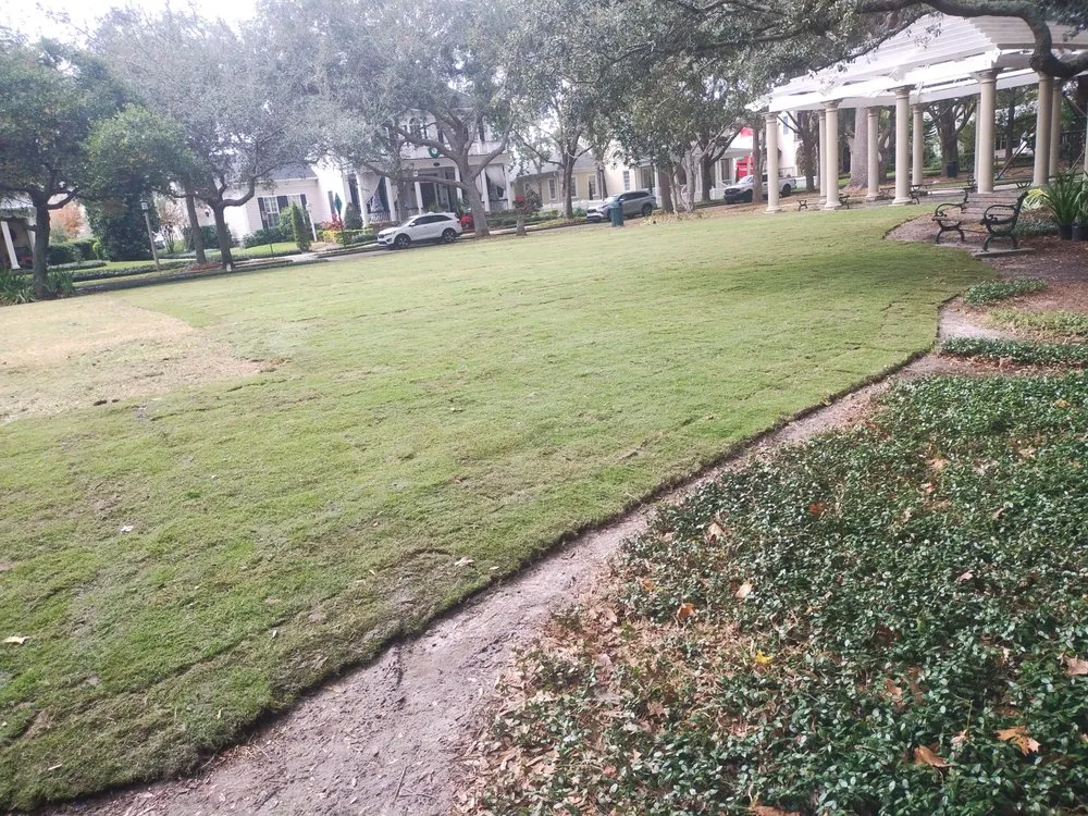 Trusted yard cleanup service experts serving Lake Wales, FL - Family Caporum Sod