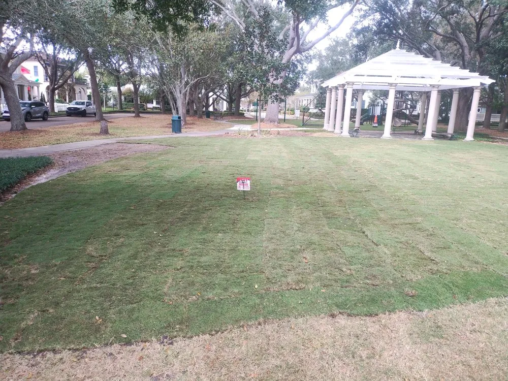Custom landscaping services experts serving Lake Wales, FL - Family Caporum Sod