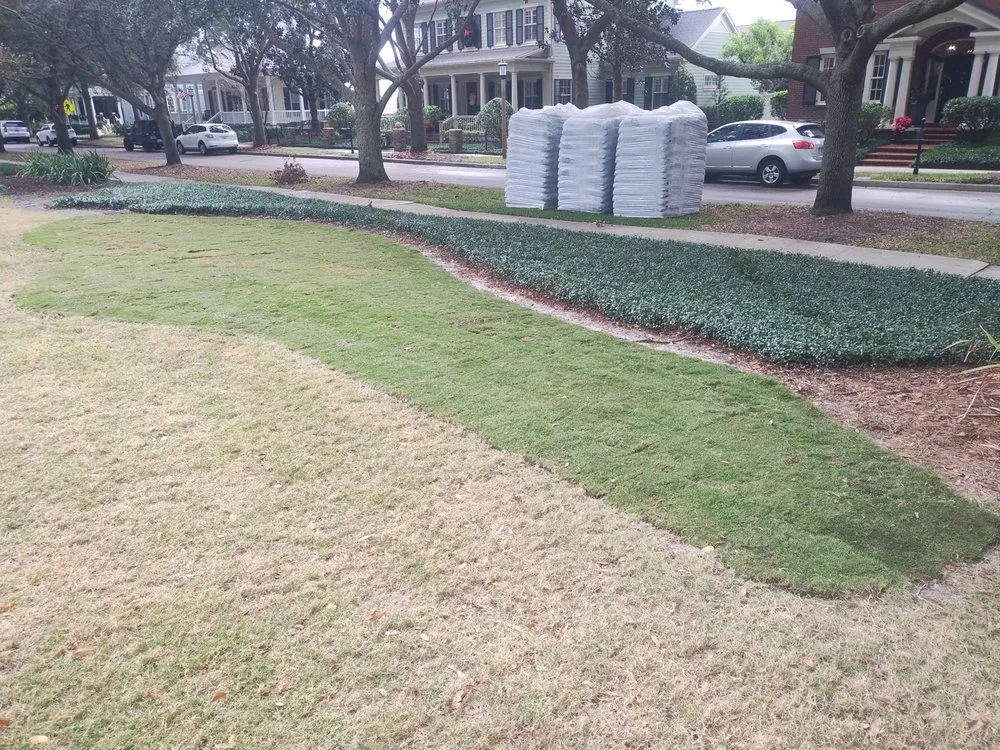 Affordable landscaping services for year-round maintenance in Lake Wales, FL by Family Caporum Sod