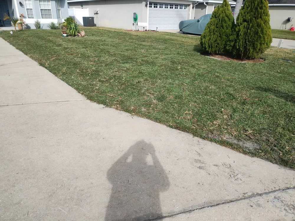 Affordable landscape design in Lake Wales, FL by Family Caporum Sod