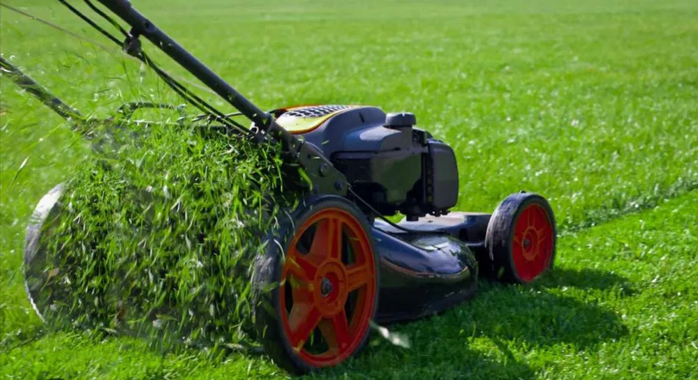 Affordable landscaping services for year-round maintenance in Mount Dora, FL by Family cleaning