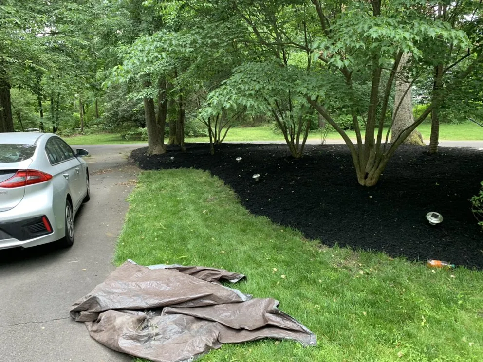 Expert yard maintenance experts serving Trenton, NJ - Family Construction And Concrete