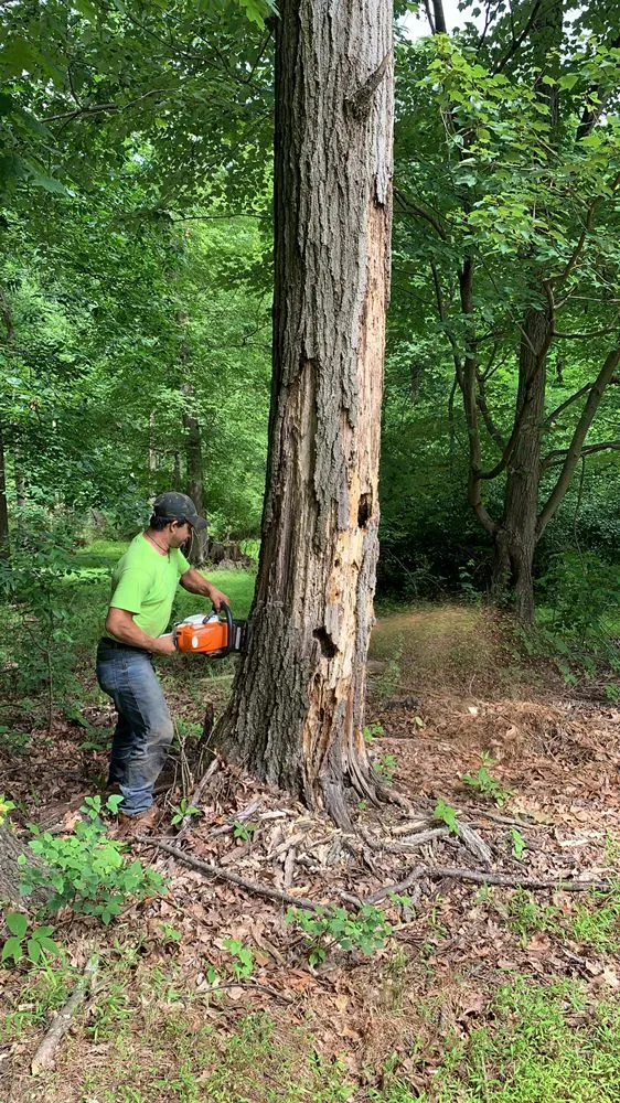Expert outdoor landscaping with custom design in Trenton, NJ by Family Construction And Concrete