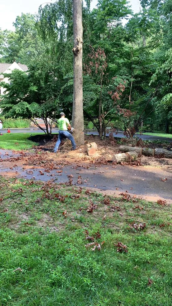 Affordable yard maintenance in Trenton, NJ - Family Construction And Concrete