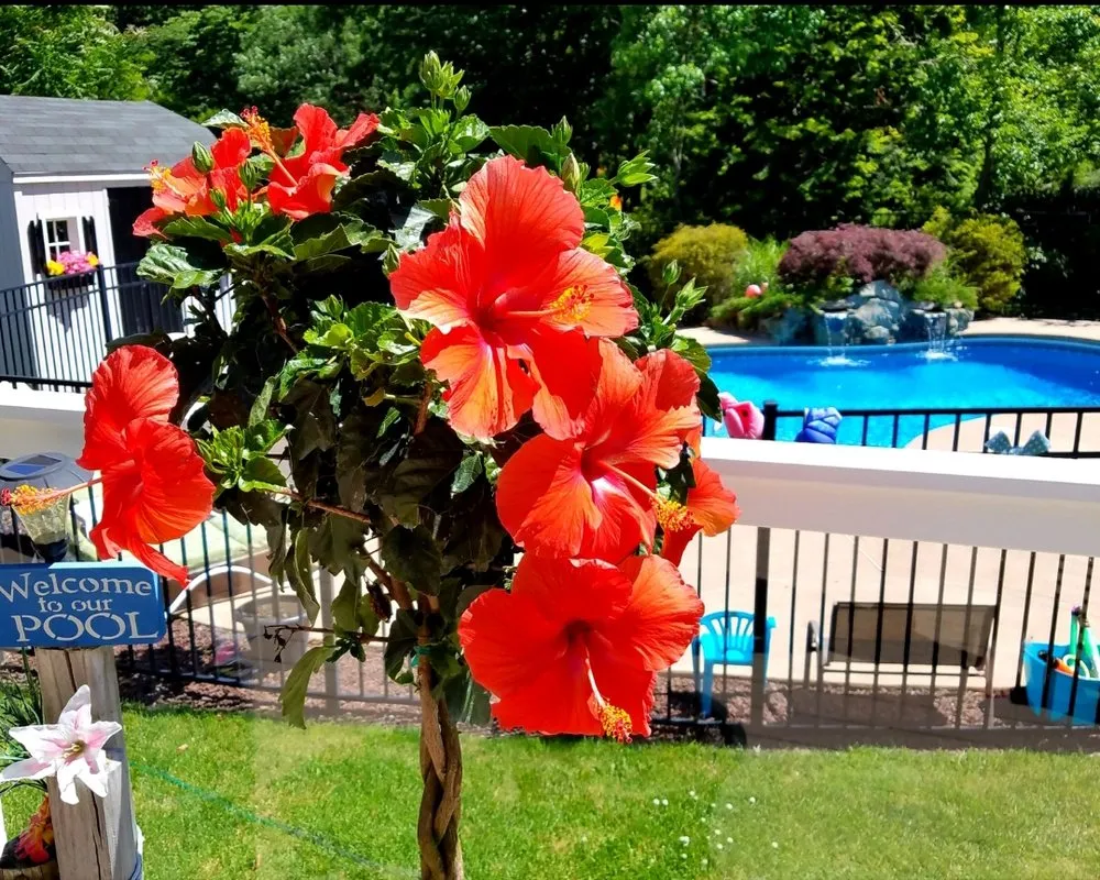 Top-rated garden landscaping for beautiful yards in Manalapan, NJ by Family Crest Property Management Group