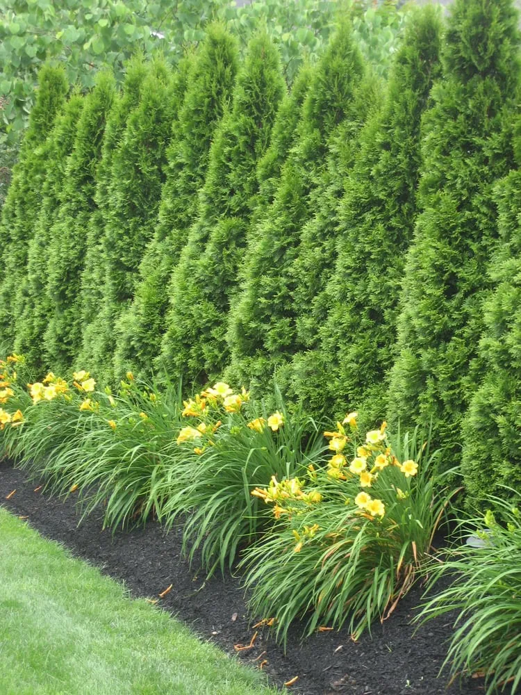 Affordable residential landscaping for beautiful yards across Manalapan, NJ - Family Crest Property Management Group