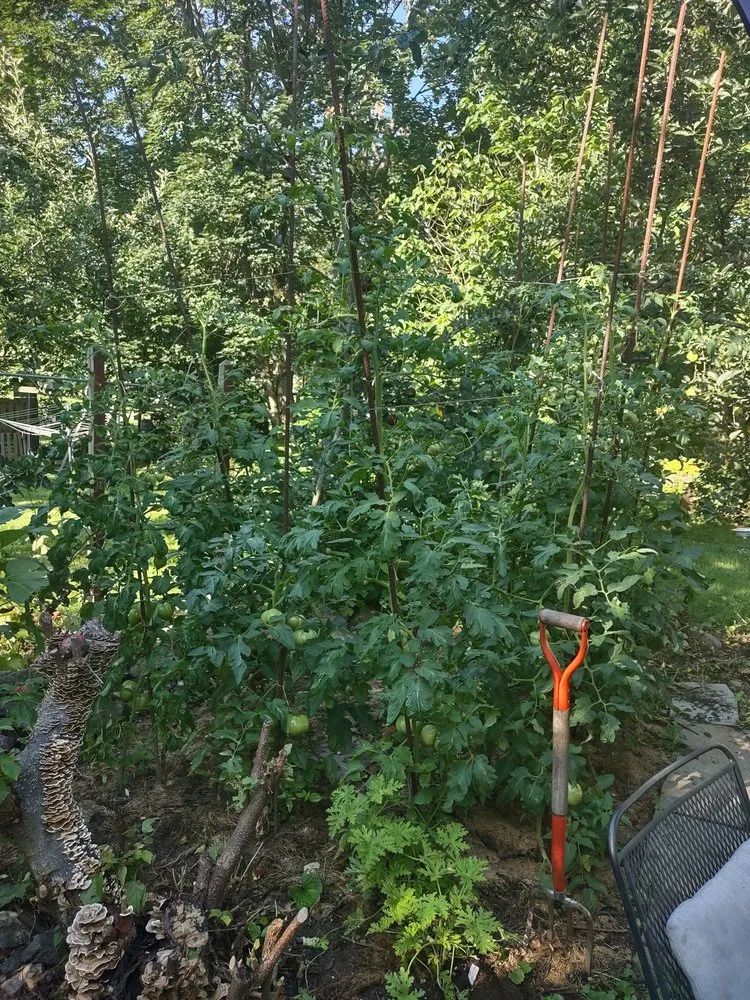 Top-rated yard cleanup service in Reading, MA by Family Farms Edible Landscaping