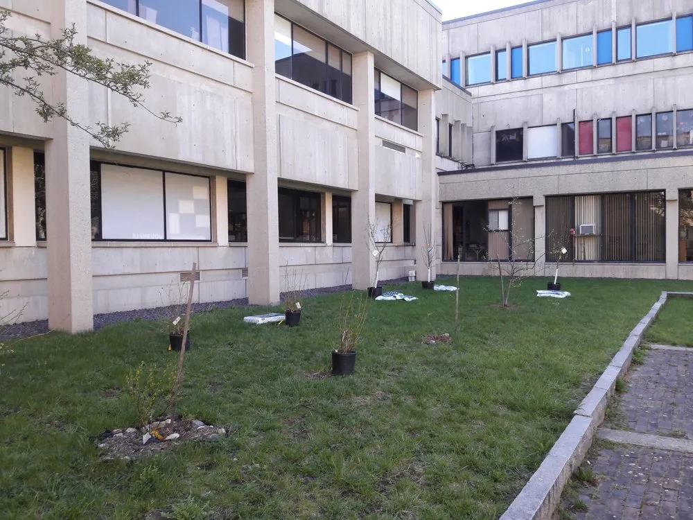 Affordable yard maintenance in Reading, MA - Family Farms Edible Landscaping