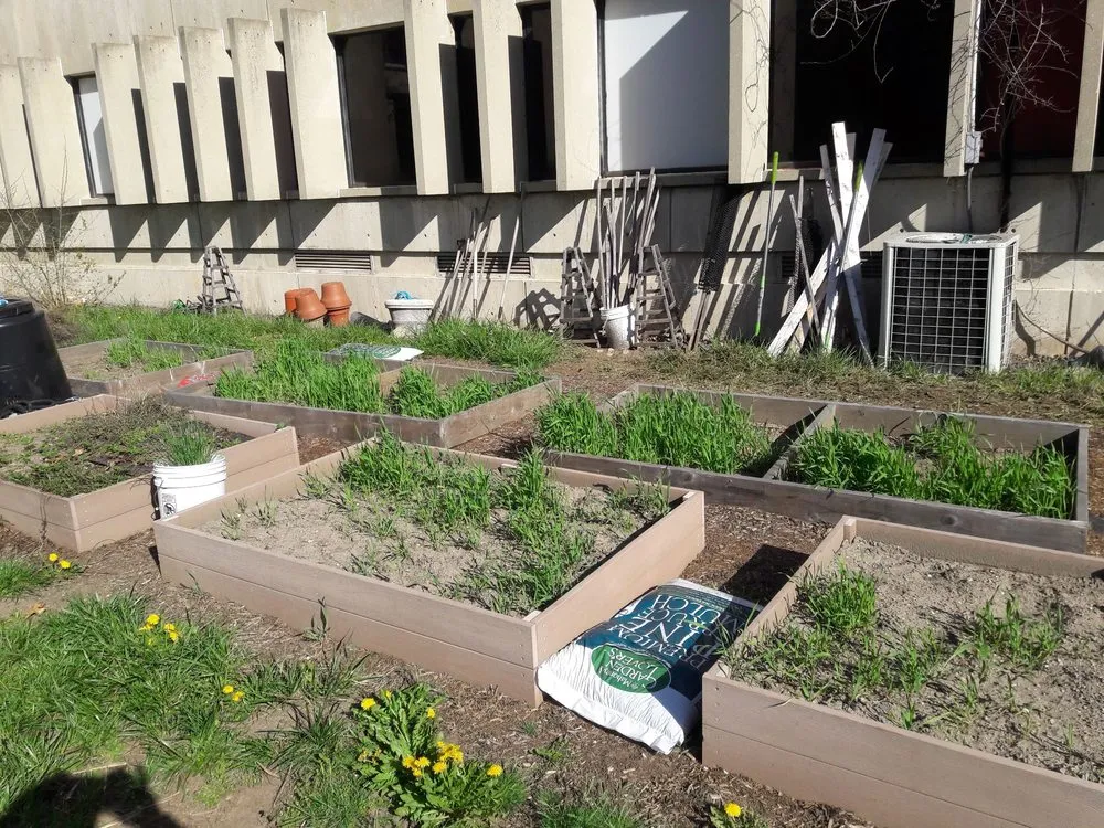 Top-rated outdoor landscaping near you across Reading, MA - Family Farms Edible Landscaping