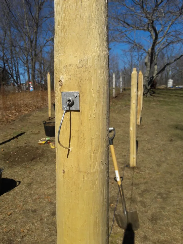 Reliable landscape design in Reading, MA by Family Farms Edible Landscaping