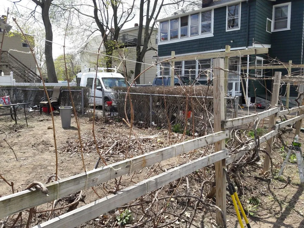 Expert landscape design for residential properties across Reading, MA - Family Farms Edible Landscaping