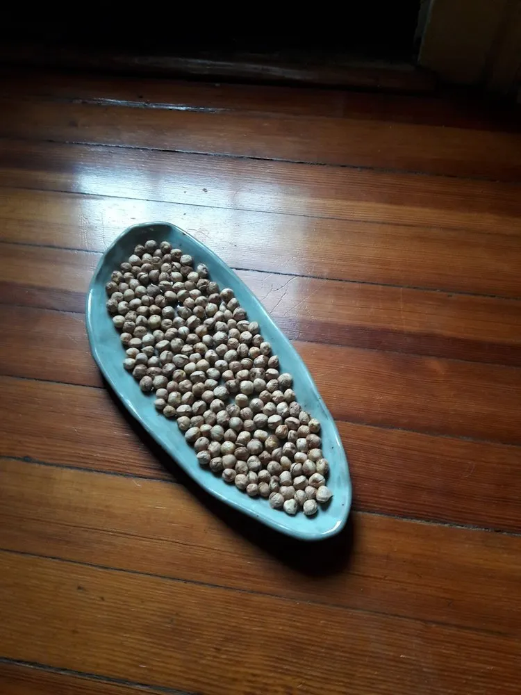 Reliable landscaping services in Reading, MA - Family Farms Edible Landscaping