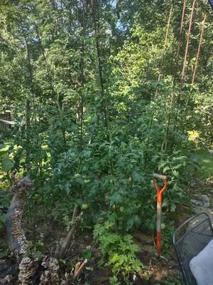 Family Farms Edible Landscaping Logo