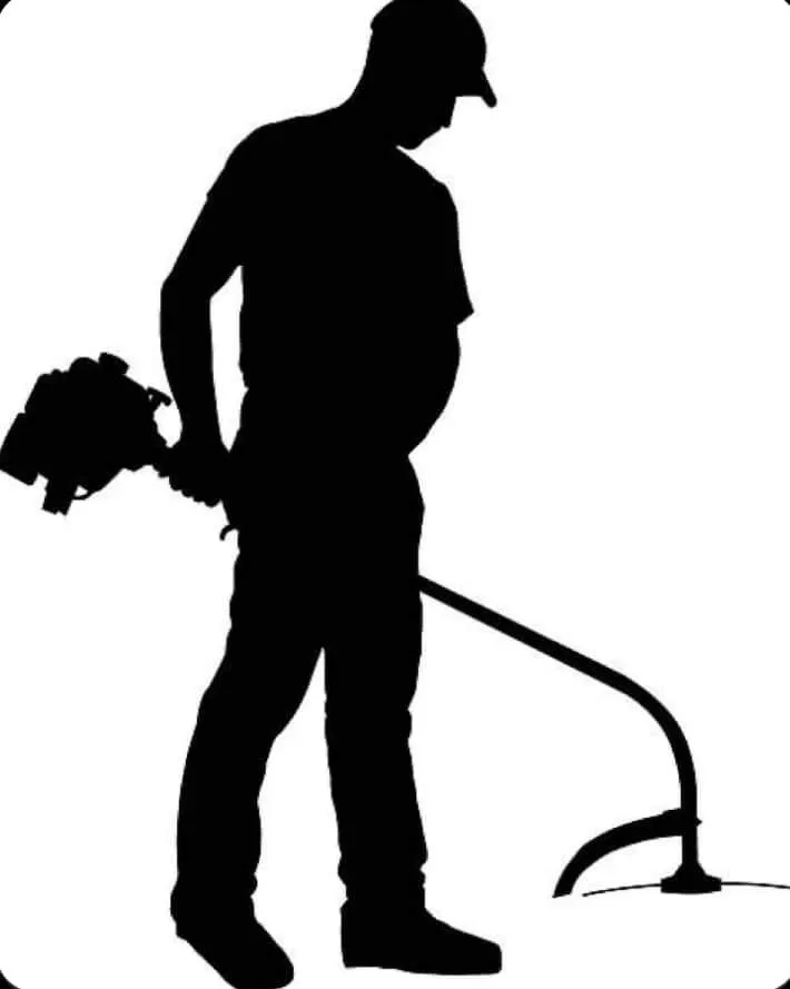 Expert landscape design in Stockton, CA - Family First Landscaping and Hauling