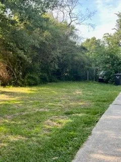 Affordable yard cleanup service experts serving Baton Rouge, LA - Family First Lawn Service