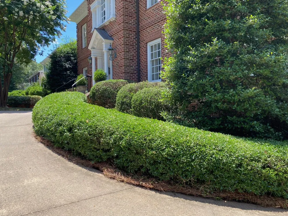 Trusted landscape design experts serving Rural Hall, NC - Family First Outdoor Services & Landscaping