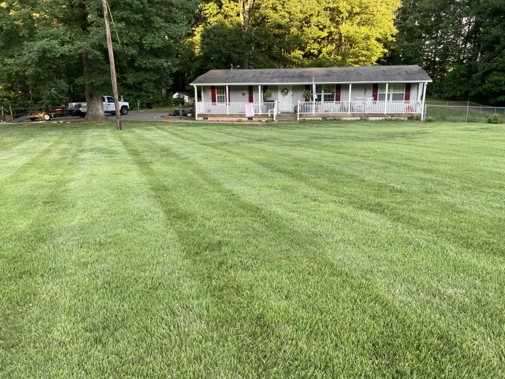 Professional lawn care service for year-round maintenance in Rural Hall, NC by Family First Outdoor Services & Landscaping