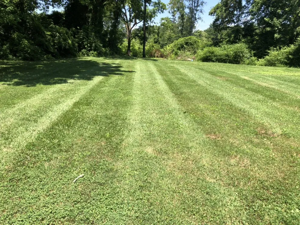 Trusted landscaping services in Rural Hall, NC by Family First Outdoor Services & Landscaping