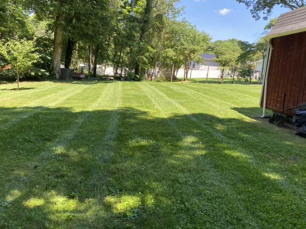 Expert lawn care service for beautiful yards in Rural Hall, NC by Family First Outdoor Services & Landscaping