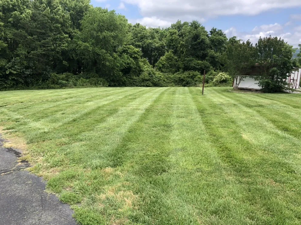 Expert outdoor landscaping with custom design across Rural Hall, NC - Family First Outdoor Services & Landscaping