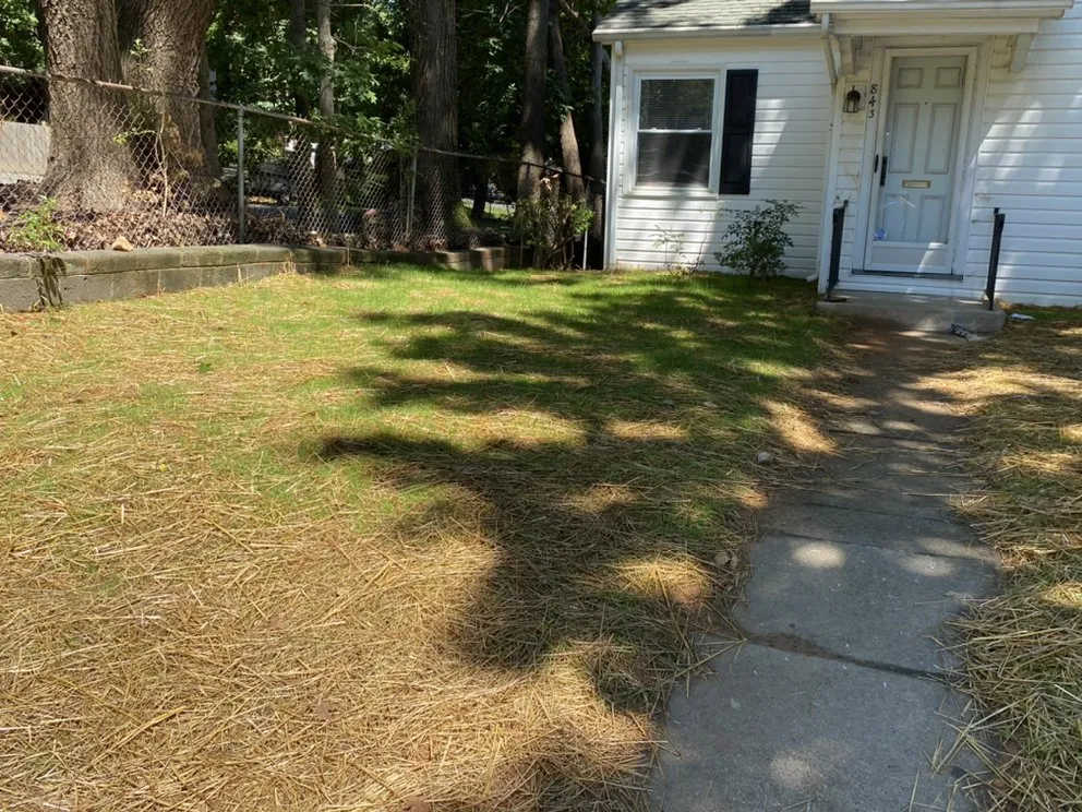 Reliable outdoor landscaping experts serving Rural Hall, NC - Family First Outdoor Services & Landscaping