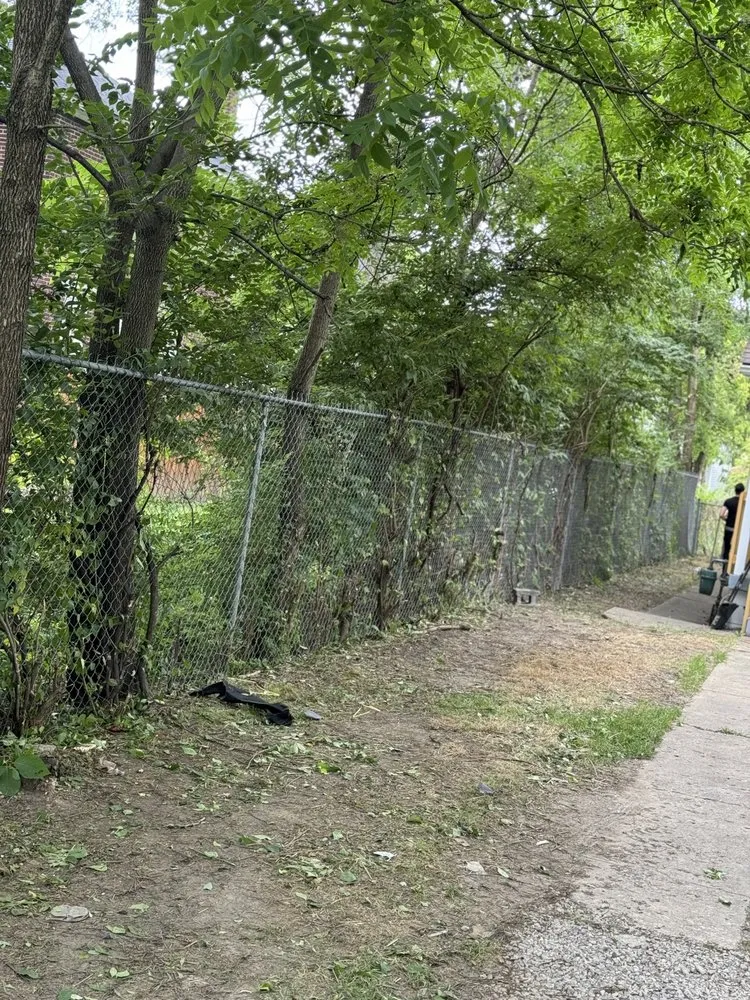 Trusted yard cleanup service experts serving Columbus, OH - Family First Property Management