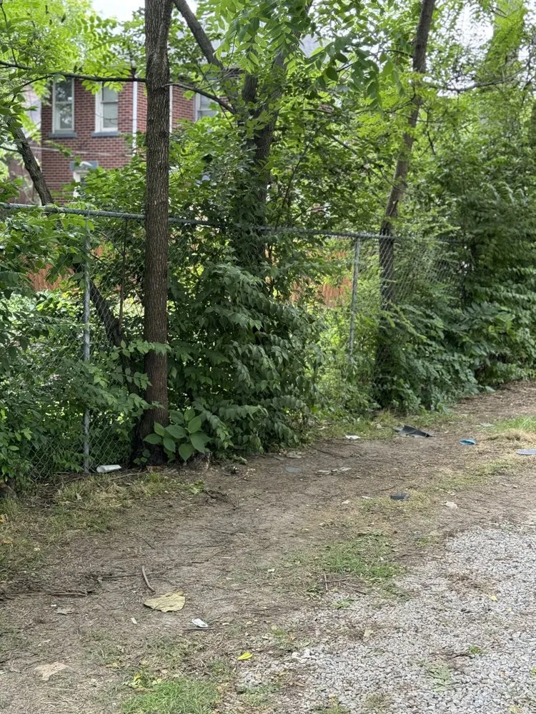 Local yard maintenance in Columbus, OH by Family First Property Management