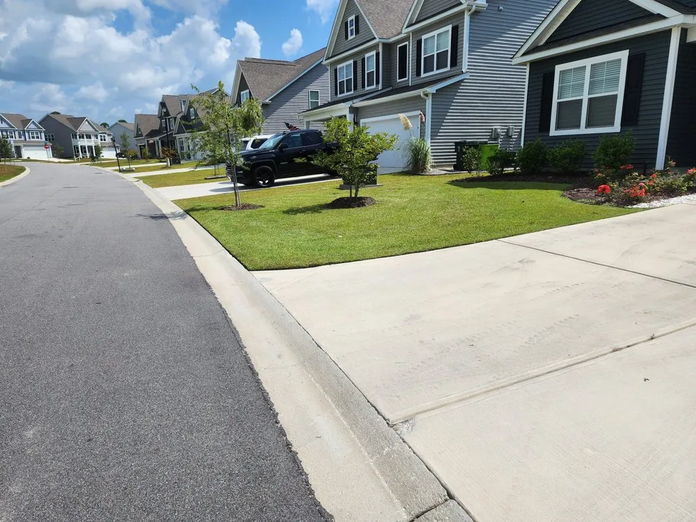 Trusted yard cleanup service in Hampstead, NC - Family First Turf Care LLC