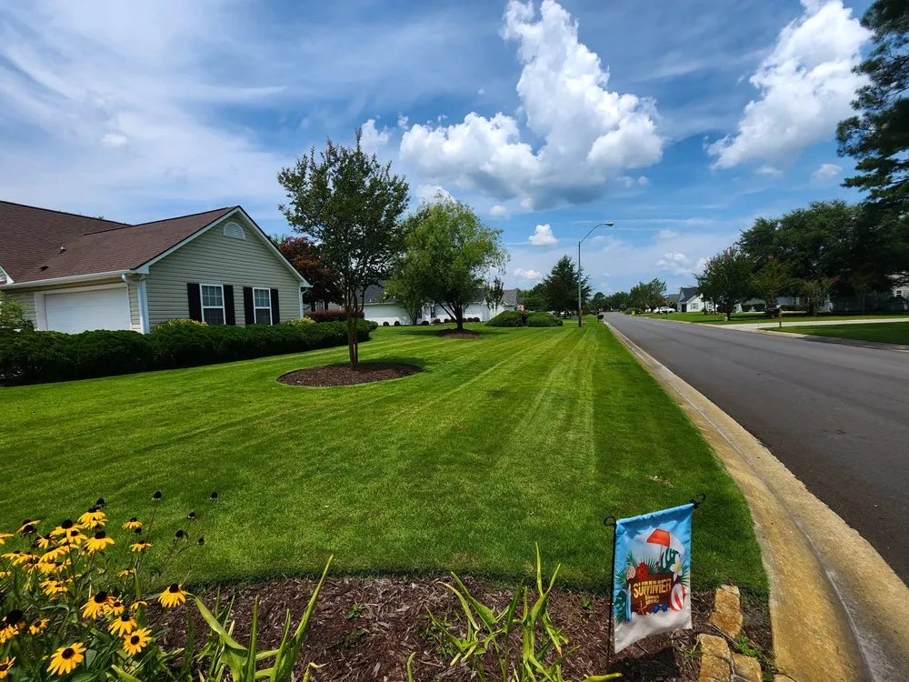 Professional yard cleanup service in Hampstead, NC by Family First Turf Care LLC