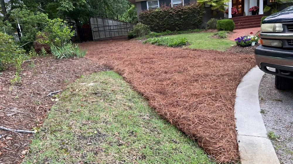 Local residential landscaping for beautiful yards across Hampstead, NC - Family First Turf Care LLC