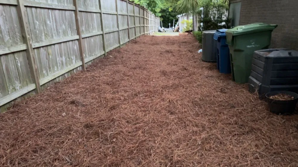 Trusted residential landscaping in Hampstead, NC by Family First Turf Care LLC