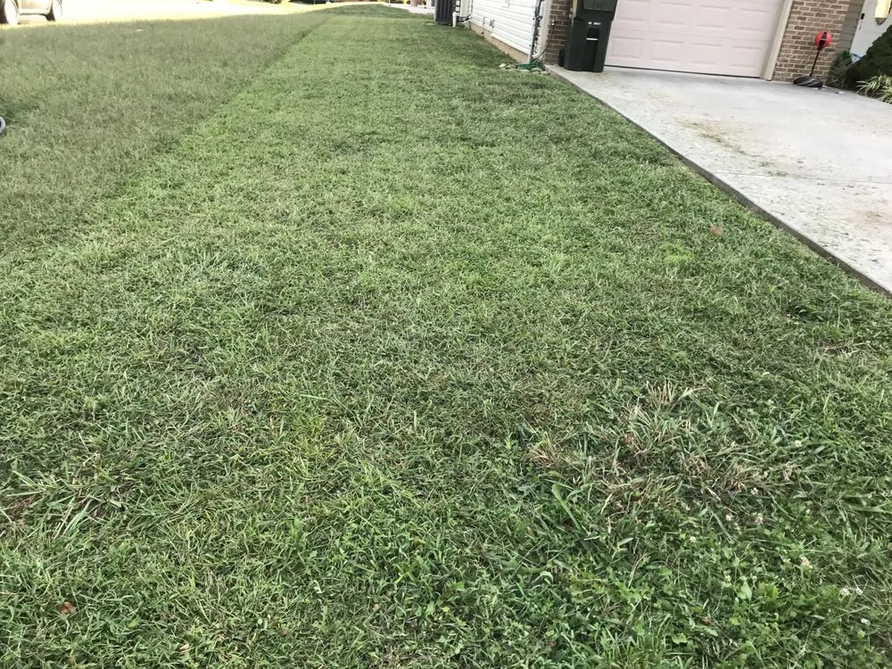 Local landscape installation in Jefferson City, TN by Family Forever Lawn Care