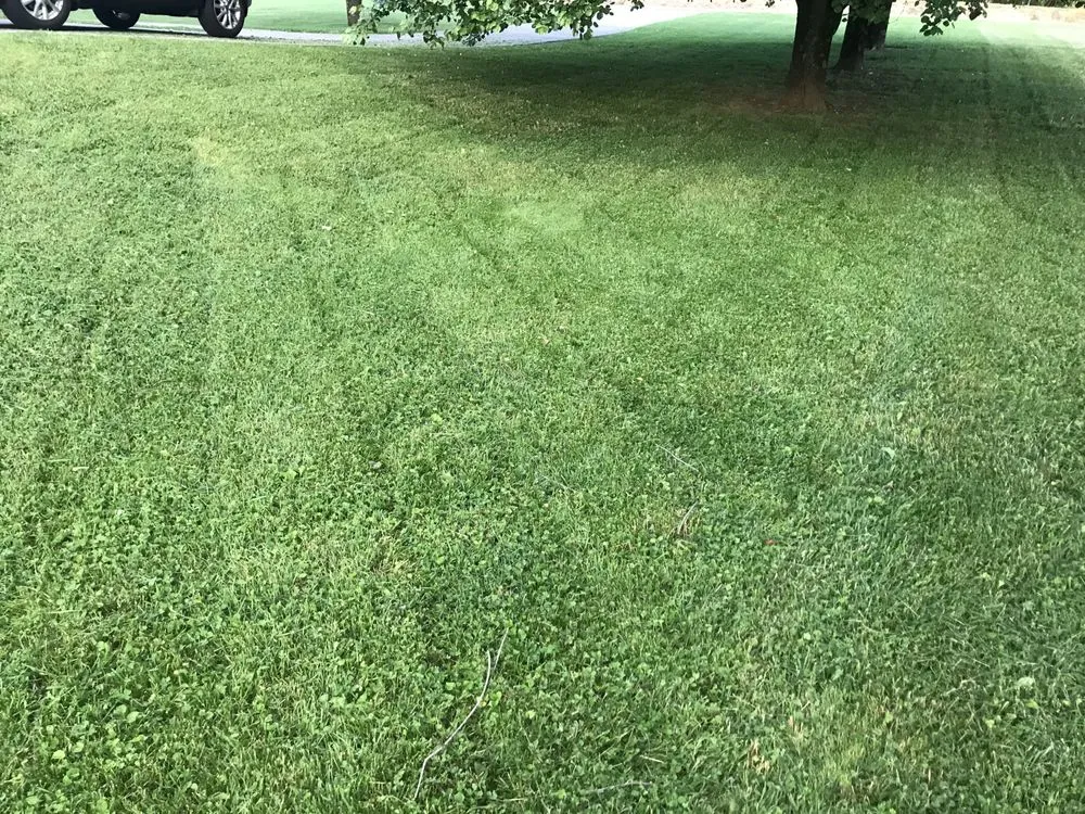 Trusted lawn mowing service near you across Jefferson City, TN - Family Forever Lawn Care